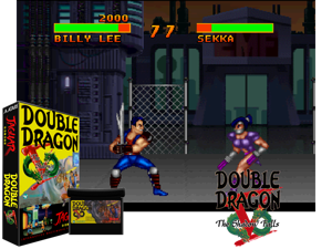 Double Dragon V - The Shadow Falls (World) Cover