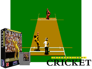 InternationalCricket Cover
