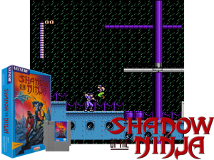 SHADNINJ Cover
