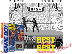 Best of the Best - Championship Karate (Europe)(2Mb) Cover