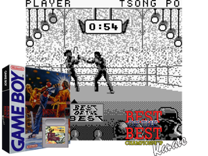 Best of the Best - Championship Karate (USA)(2Mb) Cover