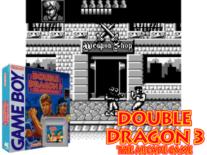 Game Thumbnail - Double Dragon 3 - The Arcade Game (USA, Europe)(1Mb)