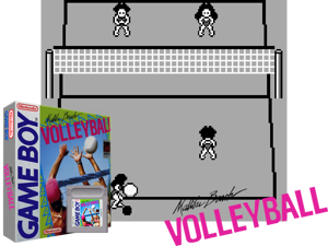 Game Thumbnail - Malibu Beach Volleyball (USA)(0.5Mb)