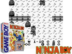 Game Thumbnail - Ninja Boy (USA, Europe)(0.5Mb)