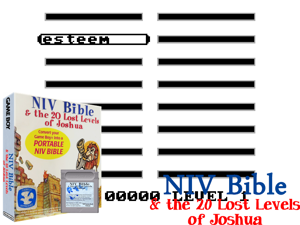Game Thumbnail - NIV Bible & the 20 Lost Levels of Joshua (USA) (Unl)(16Mb)
