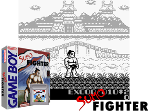 Game Thumbnail - Sumo Fighter (USA)(1Mb)