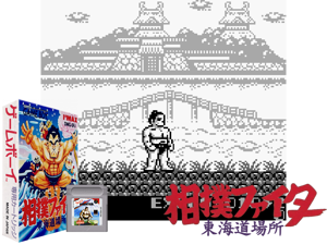 Sumou Fighter - Toukaidou Basho (Japan)(1Mb) Cover