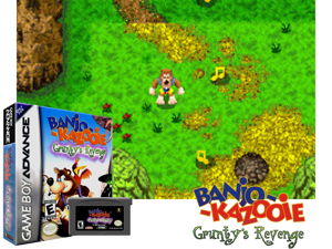 Banjo-Kazooie - Grunty's Revenge(US) Cover