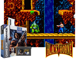 Game Thumbnail - Blackthorne(US)
