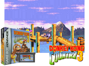 Donkey Kong Country 3(US) Cover