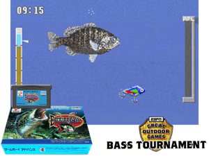 Exciting Bass(JP) Cover