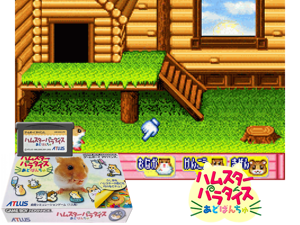 Game Thumbnail - Hamster Paradise Advanchu(JP)