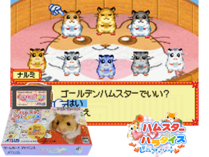 Hamster Paradise - Pure Heart(JP) Cover
