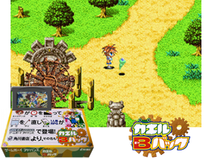 Kaeru B Back(JP) Cover