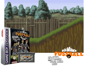 Wilden Fussball-Kerle, Die - Gefahr im Wilde Kerle Land(DE) Cover