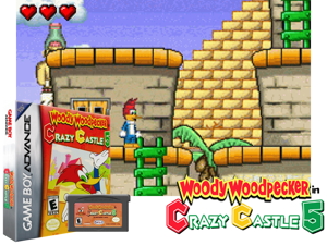 Woody Woodpecker in Crazy Castle 5(US) Cover