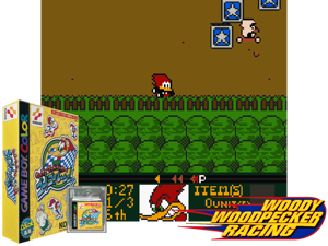 Woody Woodpecker no Go! Go! Racing (Japan) Cover